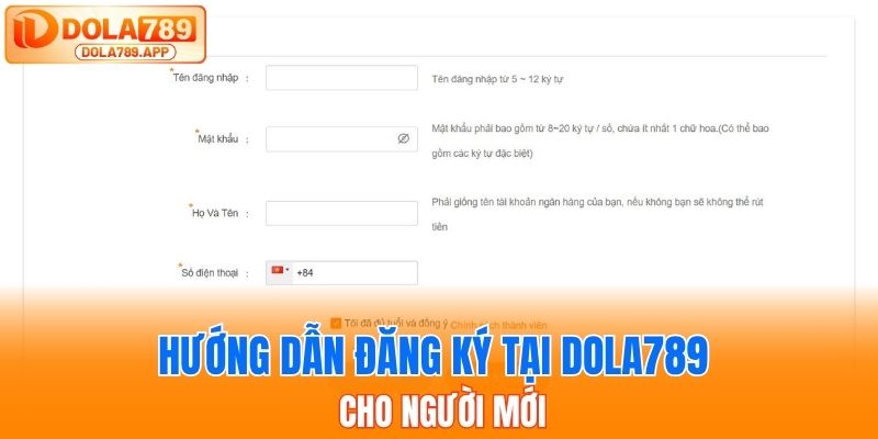 Hướng dẫn đăng ký tại Dola789 cho người mới