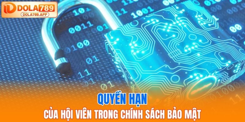 Quyền hạn của hội viên trong chính sách bảo mật Dola789