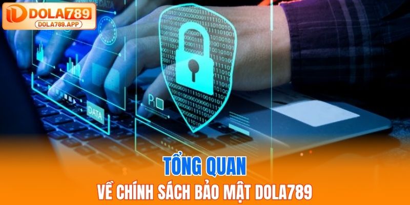 Tổng quan về chính sách bảo mật Dola789